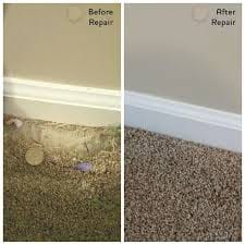 wall-side carpet repair