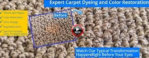 expert carpet dyeing color restoration