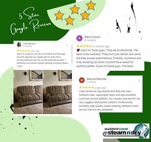 Auckland-Steam-N-Dry-5-Star-Review