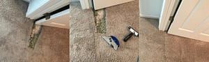 ripped carpet repair auckland