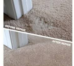 pet damage repair Auckland